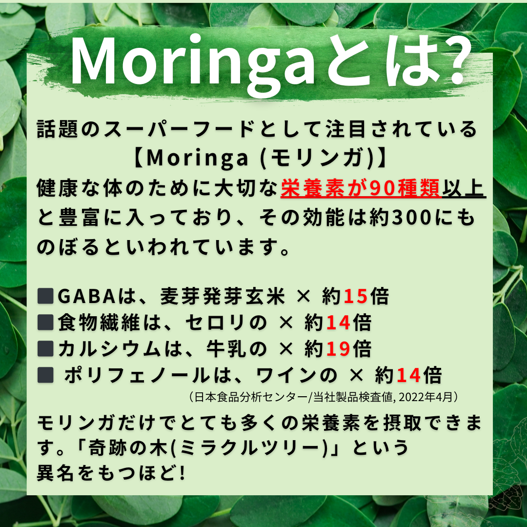【50%OFF】セール☆栄養豊富「姫路モリンガ蕎麦」 ( 1袋 3束, 2026年4月賞味期限)