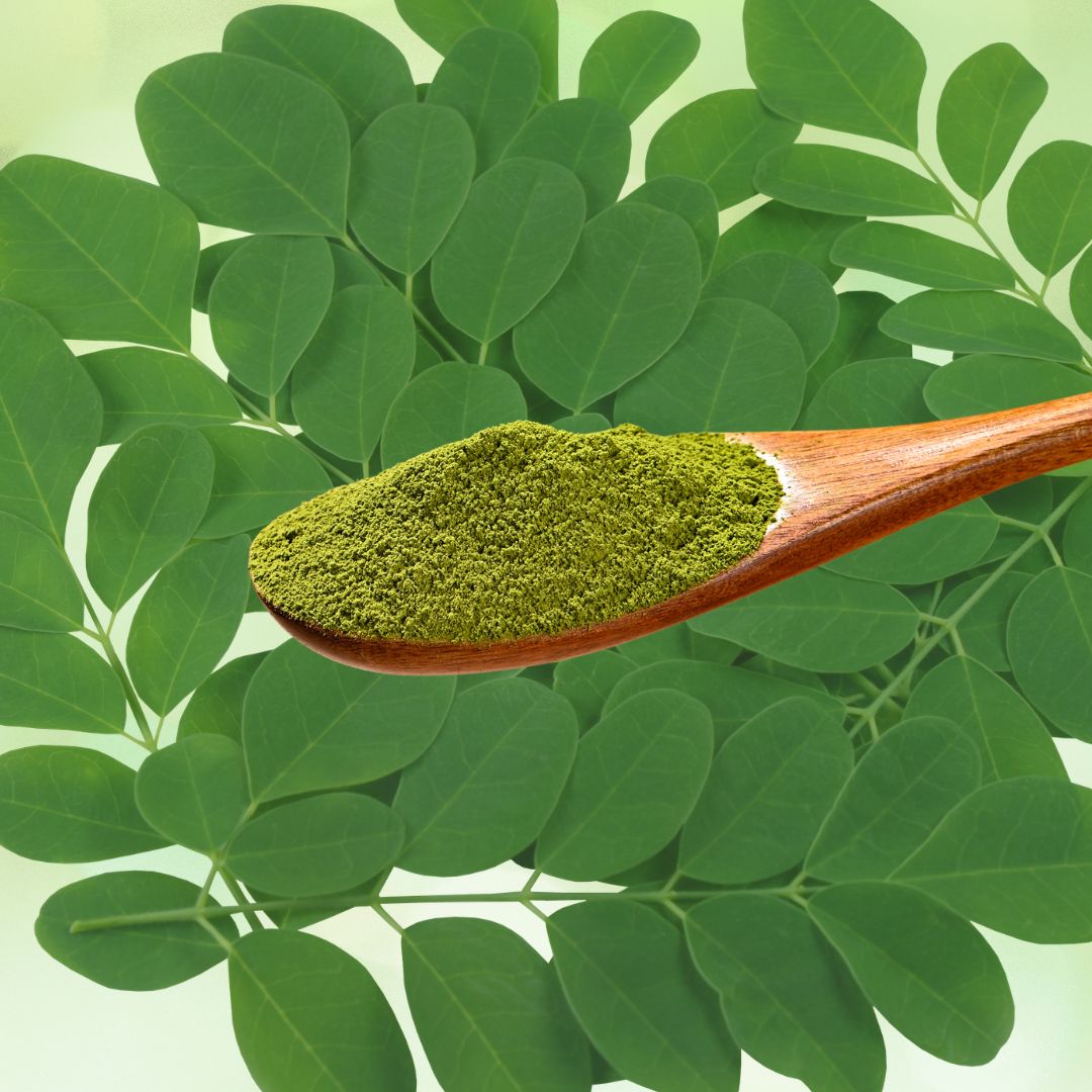 2026新作【単品】(1g×30包)『ピュアパウダースティック』専用箱入り（賞味期限2027年7月, 消費期限2028年8月）